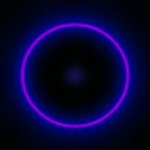 Meet your Posher, Griffin